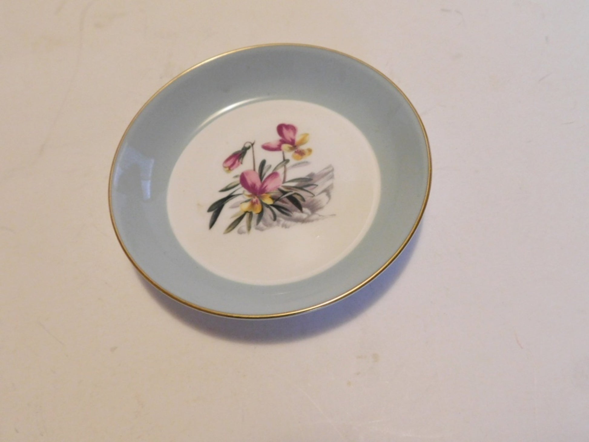 Royal Worcester Alpine Flowers gray band coaster NMC - Items Tried And True